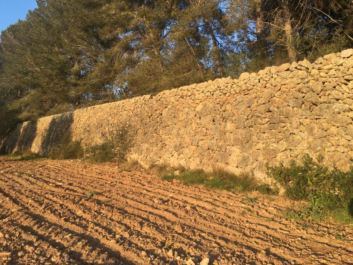 Casa Con Gran Jardin Cerca De La Playa - Baix Villa Tarragona Buitenkant foto